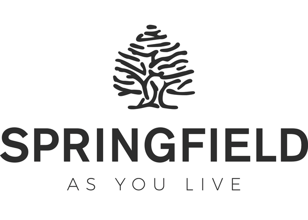 Galería de imágenes SPRINGFIELD 1