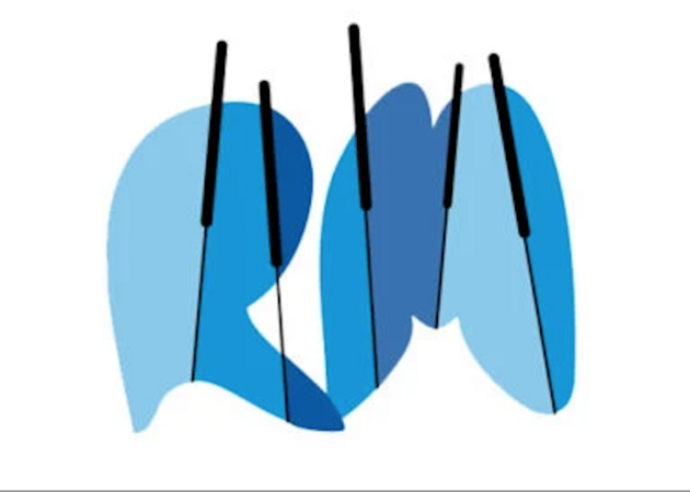 Galería de imágenes ACUPUNTURA REBECA MAR 1