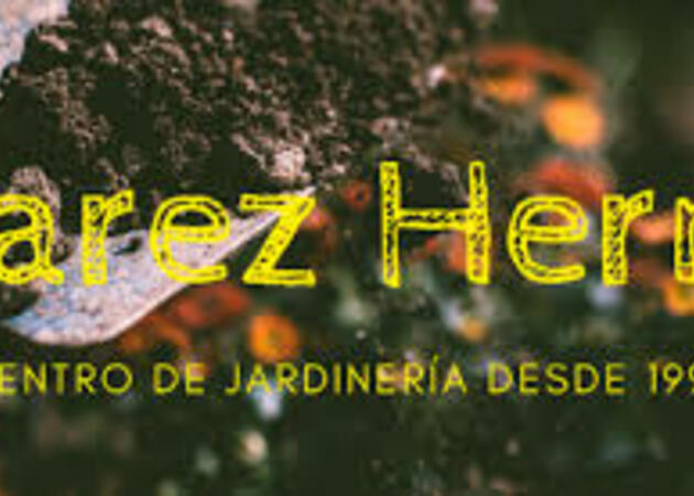 Galería de imágenes VIVEROS ALVAREZ HERNAN 1