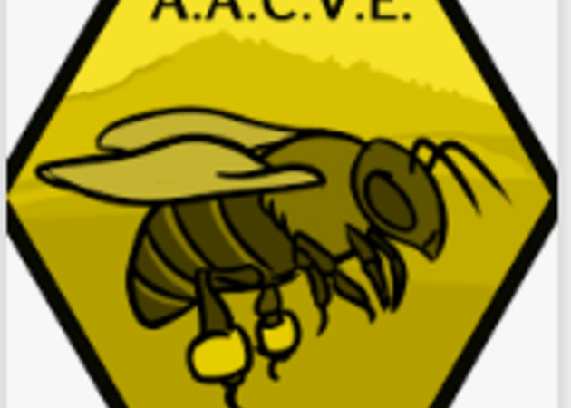 Galería de imágenes ASOCIACIÓN DE APICULTORES DE COLMENAR VIEJO Y SU ENTORNO 1