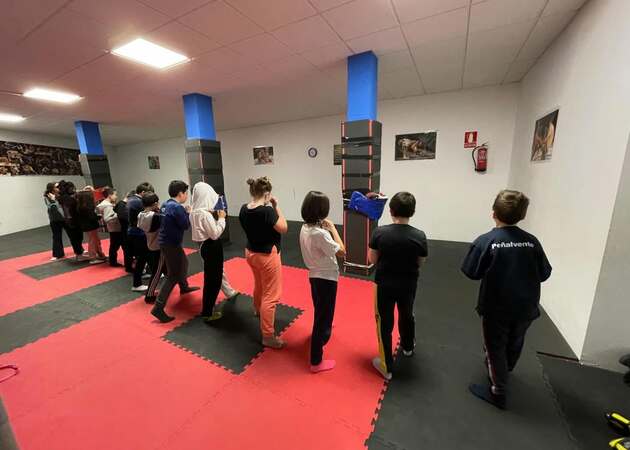 Galería de imágenes COLMENAR BOX 2