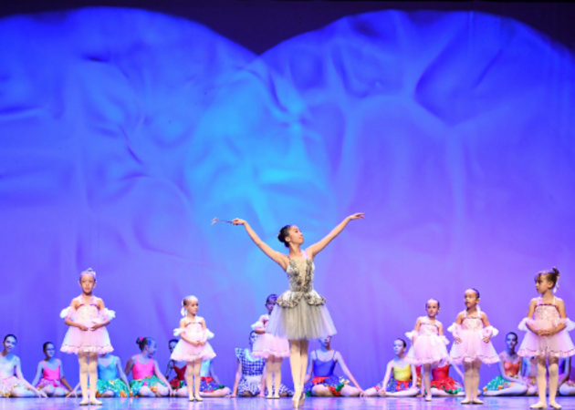 Galería de imágenes ESCUELA DE DANZA LÍNEA Y MOVIMIENTO PASEO DE AMÉRICA 1