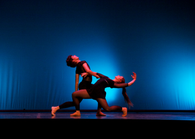 Galería de imágenes ESCUELA DE DANZA LÍNEA Y MOVIMIENTO PASEO DE AMÉRICA 2