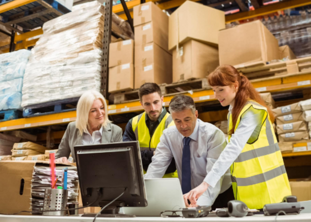 Galería de imágenes GESLOGIC 1