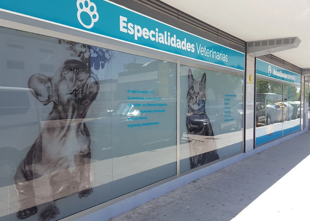 Galería de imágenes HOSPITAL VETERINARIO SAN ANTÓN 1