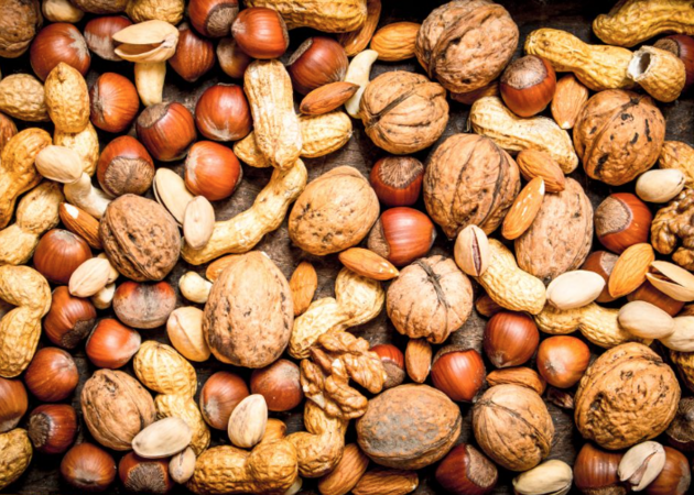 Galería de imágenes KOBER-INTEXIM 6