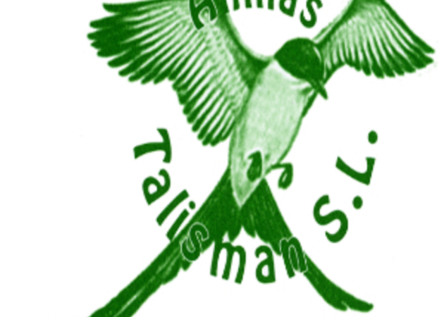 Image gallery TALISMAN RINGS 1