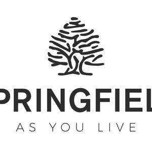 Foto de portada SPRINGFIELD