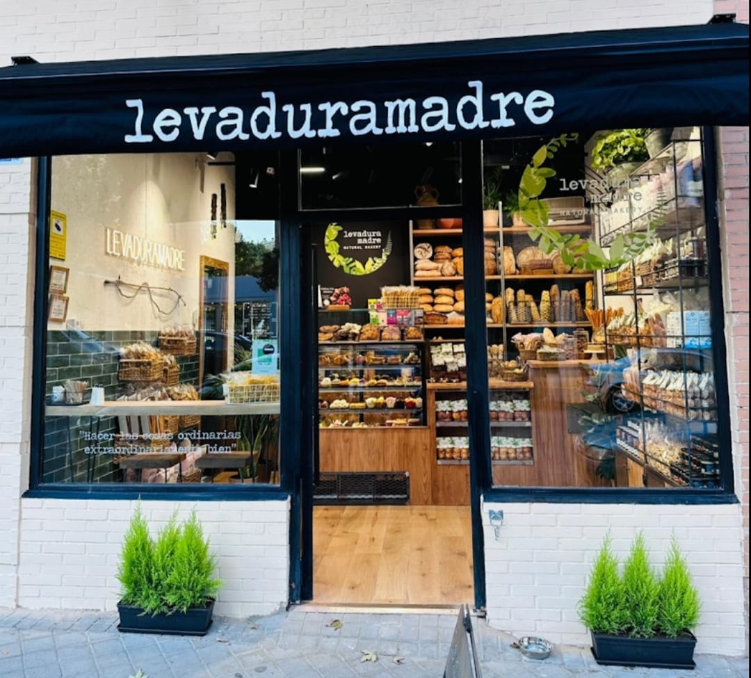 Foto de portada LEVADURA MADRE