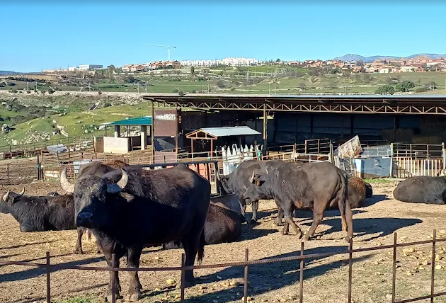 Foto de portada FINCAS HOYAS DE SANTA ANA