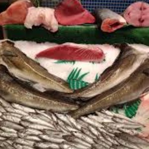 Foto de portada PESCADOS Y MARISCOS COLMENAR