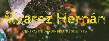 Foto de portada VIVEROS ALVAREZ HERNAN