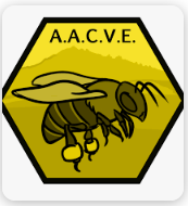 Foto de portada ASOCIACIÓN DE APICULTORES DE COLMENAR VIEJO Y SU ENTORNO