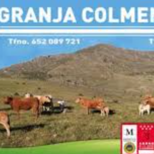 Foto de portada GRANJA COLMENAR, S.L.