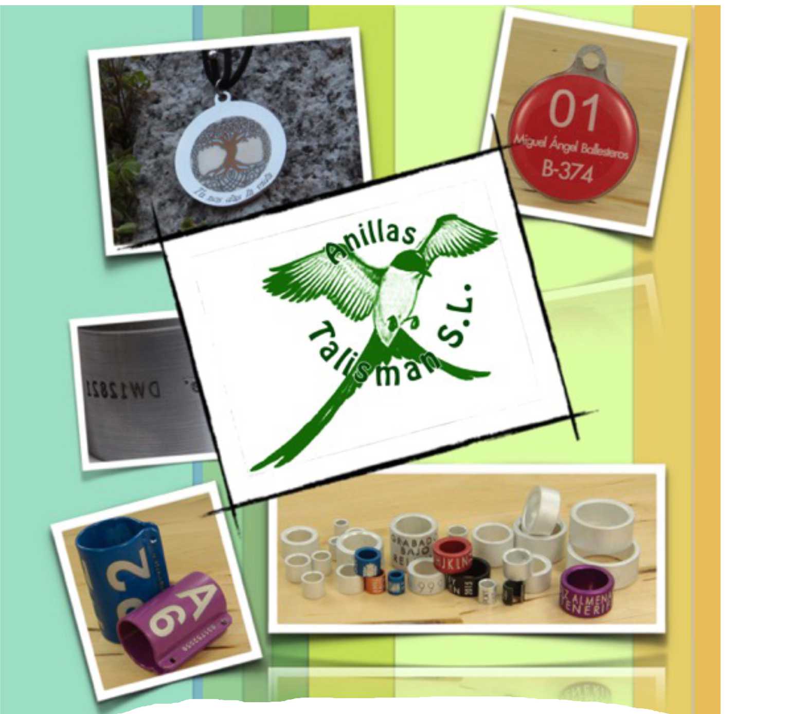 Foto de portada Anillas Talismán, S.L.