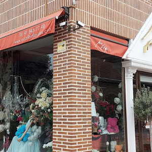 Foto de portada ARCO FLOR