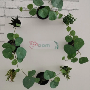 Foto de portada COWORKING OOM