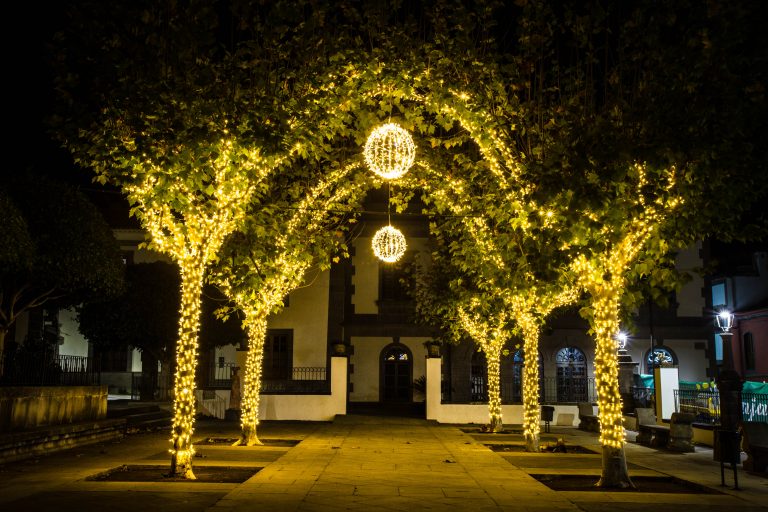 Foto de portada CRAIN