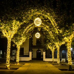 Foto de portada CRAIN