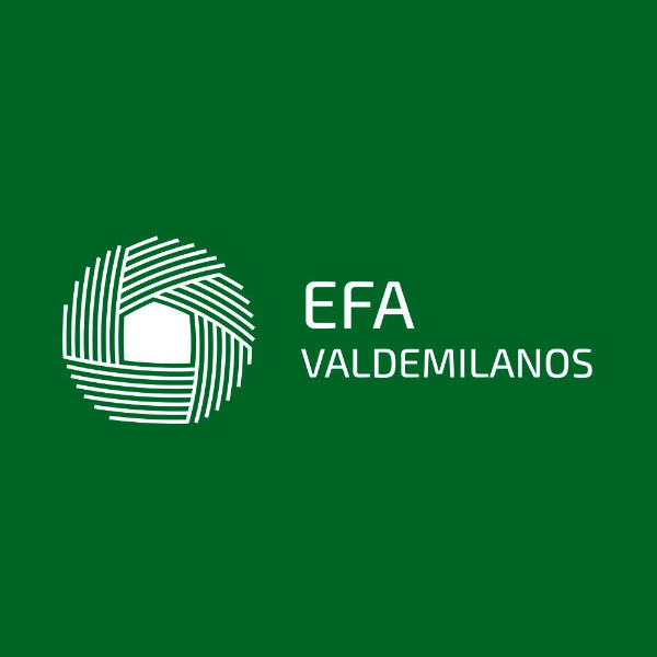 Foto de portada E.F.A. VALDEMILANOS
