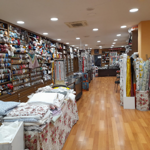 Foto de portada EL DEDAL DE LA TOLEANA