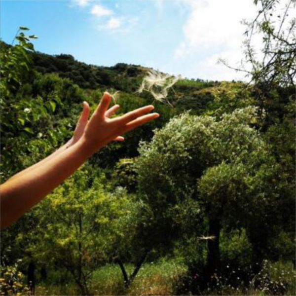 Foto de portada LA CASITA VERDE