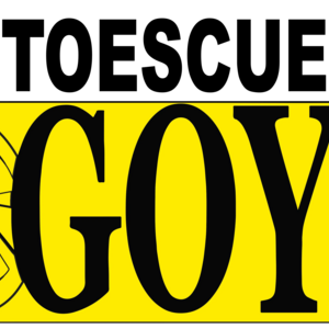 Foto de portada AUTOESCUELA GOYA C.C EL PORTACHUELO