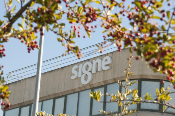 Foto de portada SIGNE