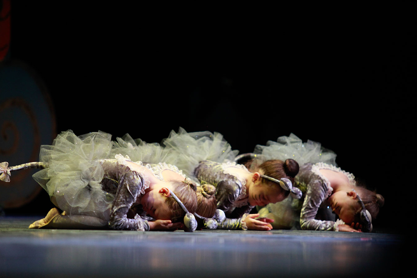 Foto de portada TODODANZA