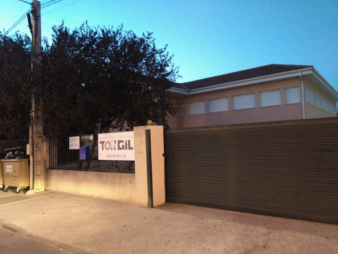 Foto de portada TONGIL