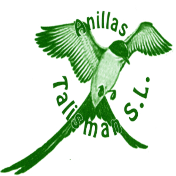 Foto de portada ANILLAS TALISMÁN